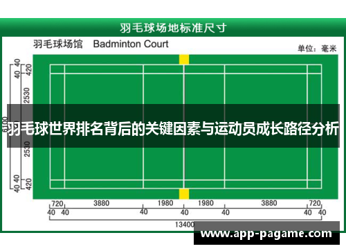 羽毛球世界排名背后的关键因素与运动员成长路径分析