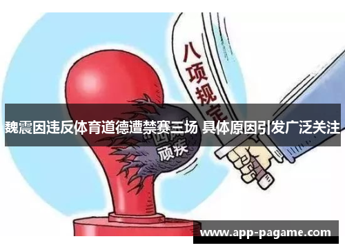 魏震因违反体育道德遭禁赛三场 具体原因引发广泛关注