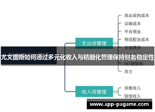 尤文图斯如何通过多元化收入与精细化管理保持财务稳定性
