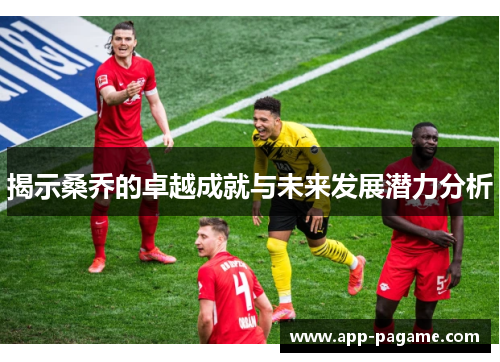 揭示桑乔的卓越成就与未来发展潜力分析